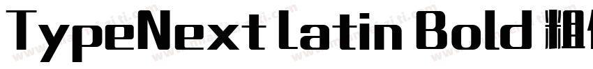 TypeNext Latin Bold 粗体字体转换